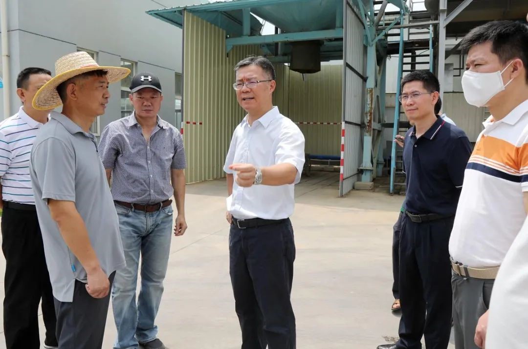 綠潤(rùn)新聞 | 金灣區(qū)委書記帶隊(duì)考察，三灶項(xiàng)目再獲認(rèn)可